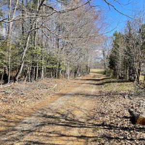 Photo #8 of SOLD property in 801 Greg Lane, Williamsburg, VA 50.0 acres