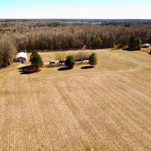 Photo #4 of 5541 Farmers Dr , Barhamsville, VA 168.0 acres