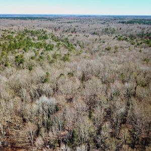 Photo #7 of 5541 Farmers Dr , Barhamsville, VA 168.0 acres