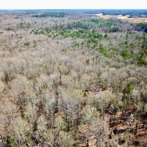 Photo #8 of 5541 Farmers Dr , Barhamsville, VA 168.0 acres