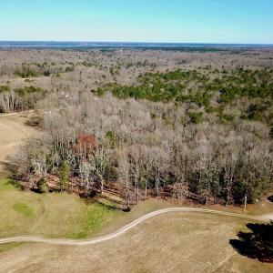 Photo #12 of 5541 Farmers Dr , Barhamsville, VA 168.0 acres