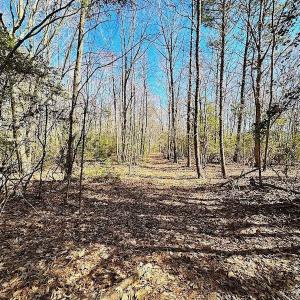 Photo #29 of 5541 Farmers Dr , Barhamsville, VA 168.0 acres