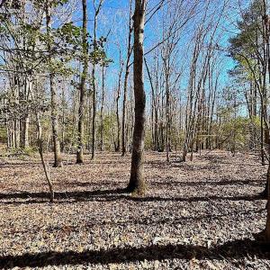 Photo #30 of 5541 Farmers Dr , Barhamsville, VA 168.0 acres