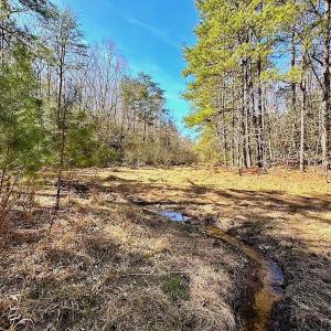 Photo #31 of 5541 Farmers Dr , Barhamsville, VA 168.0 acres
