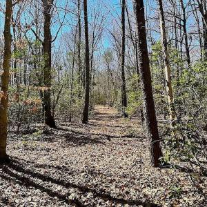 Photo #32 of 5541 Farmers Dr , Barhamsville, VA 168.0 acres