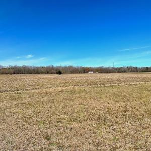 Photo #33 of 5541 Farmers Dr , Barhamsville, VA 168.0 acres