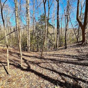 Photo #35 of 5541 Farmers Dr , Barhamsville, VA 168.0 acres