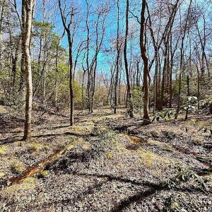 Photo #36 of 5541 Farmers Dr , Barhamsville, VA 168.0 acres