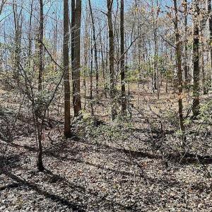Photo #37 of 5541 Farmers Dr , Barhamsville, VA 168.0 acres
