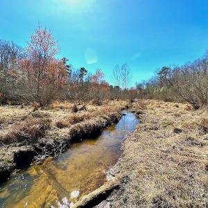 Photo #38 of 5541 Farmers Dr , Barhamsville, VA 168.0 acres