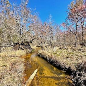 Photo #39 of 5541 Farmers Dr , Barhamsville, VA 168.0 acres