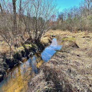 Photo #41 of 5541 Farmers Dr , Barhamsville, VA 168.0 acres