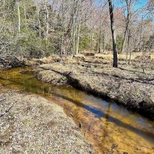 Photo #42 of 5541 Farmers Dr , Barhamsville, VA 168.0 acres