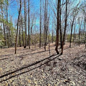Photo #44 of 5541 Farmers Dr , Barhamsville, VA 168.0 acres