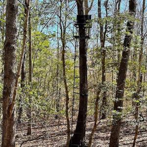 Photo #45 of 5541 Farmers Dr , Barhamsville, VA 168.0 acres