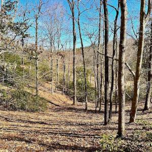 Photo #46 of 5541 Farmers Dr , Barhamsville, VA 168.0 acres