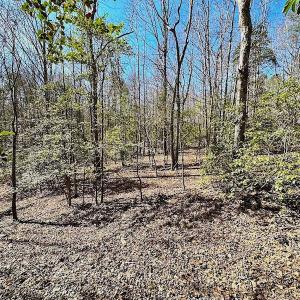 Photo #47 of 5541 Farmers Dr , Barhamsville, VA 168.0 acres