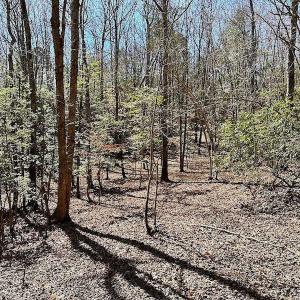 Photo #48 of 5541 Farmers Dr , Barhamsville, VA 168.0 acres