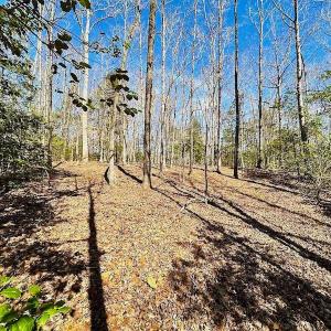 Photo #49 of 5541 Farmers Dr , Barhamsville, VA 168.0 acres