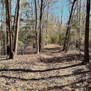 Photo #50 of 5541 Farmers Dr , Barhamsville, VA 168.0 acres