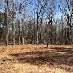 Photo #5 of SOLD property in 205 Amber Rd Lot H, Timberlake, NC 1.2 acres