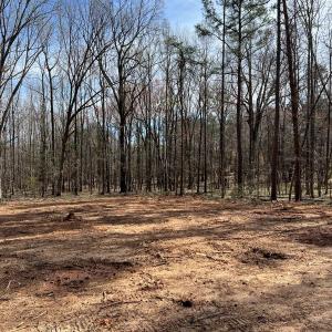 Photo #15 of SOLD property in 205 Amber Rd Lot H, Timberlake, NC 1.2 acres