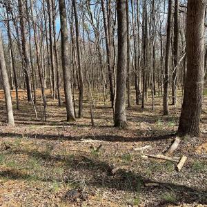 Photo #19 of 205 Amber Rd Lot H, Timberlake, NC 1.2 acres
