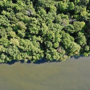 Photo #11 of SOLD property in 0ff Reservior View Dr, Pittsville, VA 5.0 acres