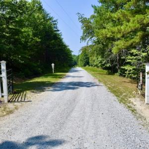 Photo #14 of SOLD property in 0ff Reservior View Dr, Pittsville, VA 5.0 acres