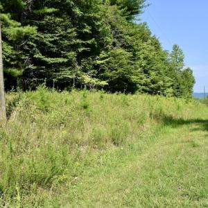 Photo #16 of SOLD property in 0ff Reservior View Dr, Pittsville, VA 5.0 acres
