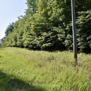 Photo #17 of SOLD property in 0ff Reservior View Dr, Pittsville, VA 5.0 acres
