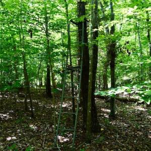 Photo #21 of SOLD property in 0ff Reservior View Dr, Pittsville, VA 5.0 acres