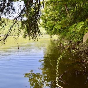 Photo #27 of SOLD property in 0ff Reservior View Dr, Pittsville, VA 5.0 acres