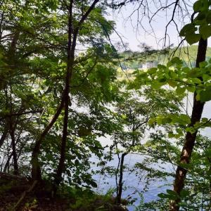 Photo #30 of SOLD property in 0ff Reservior View Dr, Pittsville, VA 5.0 acres