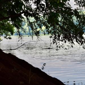 Photo #32 of SOLD property in 0ff Reservior View Dr, Pittsville, VA 5.0 acres