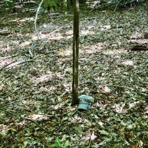 Photo #37 of SOLD property in 0ff Reservior View Dr, Pittsville, VA 5.0 acres