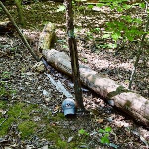 Photo #39 of SOLD property in 0ff Reservior View Dr, Pittsville, VA 5.0 acres