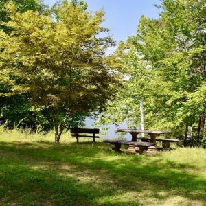 Photo #40 of SOLD property in 0ff Reservior View Dr, Pittsville, VA 5.0 acres