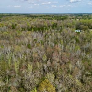 Photo #14 of Off Atkinson Road, Fairmont, NC 26.4 acres
