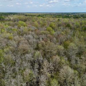 Photo #16 of Off Atkinson Road, Fairmont, NC 26.4 acres