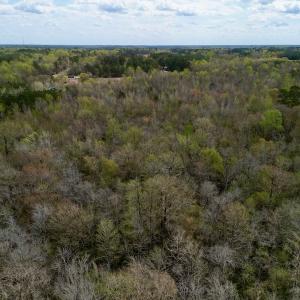 Photo #17 of Off Atkinson Road, Fairmont, NC 26.4 acres