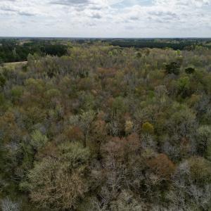 Photo #18 of Off Atkinson Road, Fairmont, NC 26.4 acres