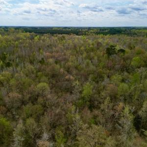 Photo #19 of Off Atkinson Road, Fairmont, NC 26.4 acres