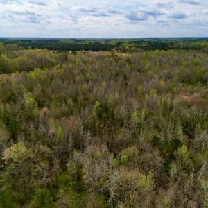 Photo #21 of Off Atkinson Road, Fairmont, NC 26.4 acres