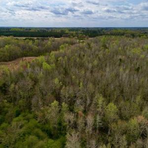 Photo #22 of Off Atkinson Road, Fairmont, NC 26.4 acres