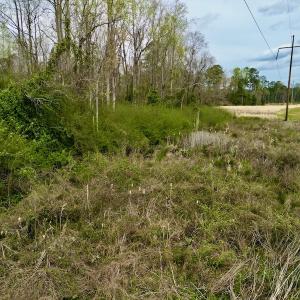 Photo #26 of Off Atkinson Road, Fairmont, NC 26.4 acres