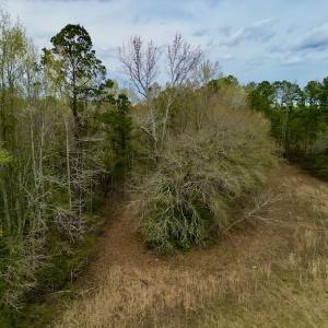 Photo #27 of Off Atkinson Road, Fairmont, NC 26.4 acres