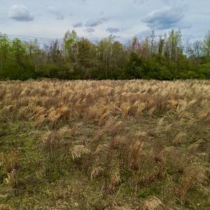 Photo #31 of Off Atkinson Road, Fairmont, NC 26.4 acres