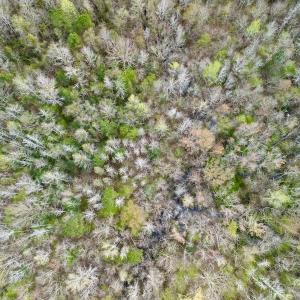 Photo #35 of Off Atkinson Road, Fairmont, NC 26.4 acres