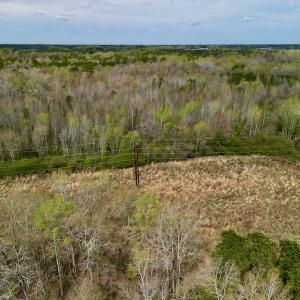 Photo #7 of Off Atkinson Road, Fairmont, NC 26.4 acres